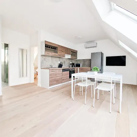 Tolstov - With 1 Or 2 - 15 Min To Messe Dus And Old Town Dus Düsseldorf