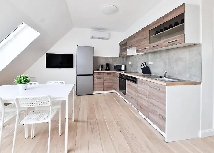 Appartement Tolstov - With 1 Or 2 - 15 Min To Messe Dus And Old Town Dus