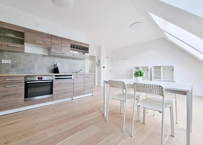 Tolstov - With 1 Or 2 - 15 Min To Messe Dus And Old Town Dus Düsseldorf